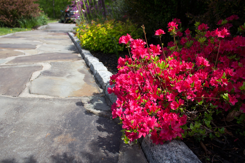 beautify-paths-timeless-gardens-ny