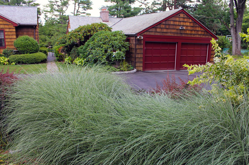 driveway-grasses-timeless-gardens-ny