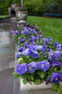 pots-for-color-timeless-gardens-ny