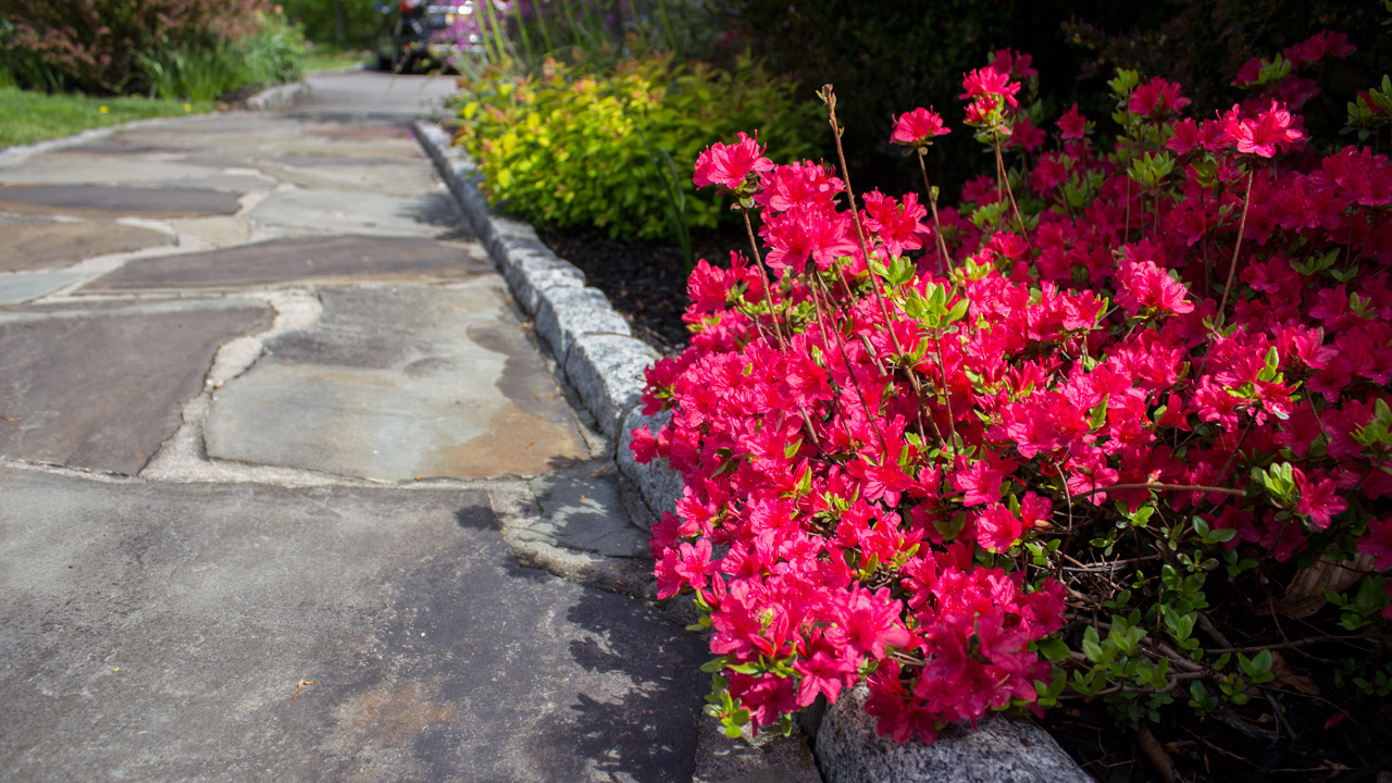walkway-colors-timeless-gardens-ny