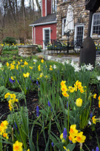 watch-spring-happen-timeless-gardens-ny