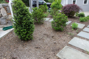 driveway-bed-before-timelss-gardens-ny